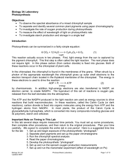 Biology 3A Laboratory Photosynthesis Objectives &bull; To observe the