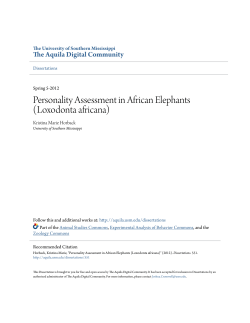 personality assessment in african elephants (loxodonta africana)