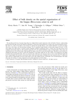 Effect of bulk density on the spatial organisation of the fungus