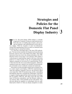 Strategies and Policies for the Domestic Flat Panel Display Industry