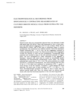 electrophysiological recordings from spontaneously contracting