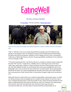 The Guru of Grass-Fed Beef