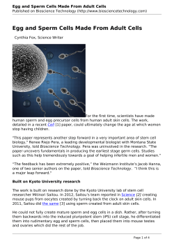 Egg and Sperm Cells Made From Adult Cells