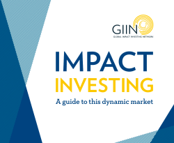 Impact investing: a guide to this dynamic market