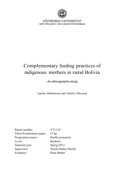 Complementary feeding practices of indigenous mothers