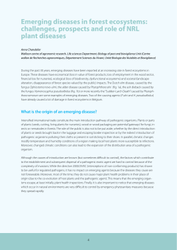 Emerging diseases in forest ecosystems: challenges, prospects and