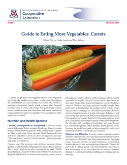 Guide to Eating More Vegetables: Carrots