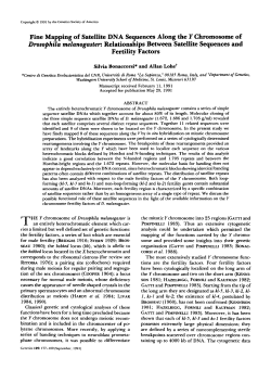 Fine Mapping of Satellite DNA Sequences Along the Y