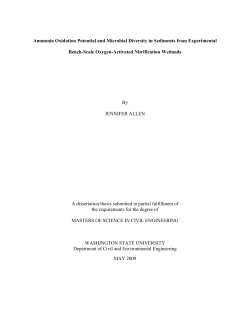 Ammonia Oxidation Potential and Microbial Diversity in Sediments