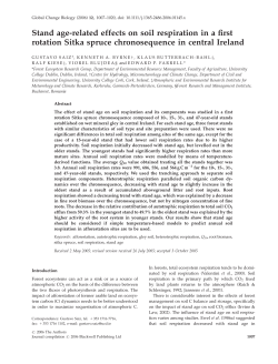 Age effects on soil respiration