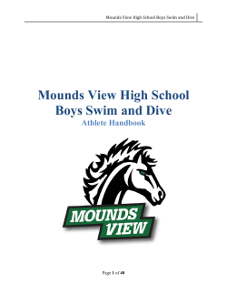 Team Handbook - Mounds View High School Boys Swim and Dive