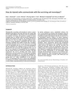 How do injured cells communicate with the