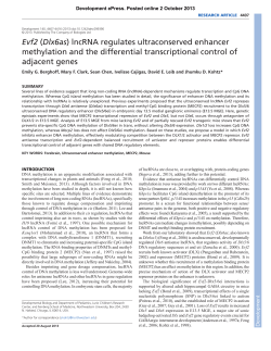 Evf2 (Dlx6as) lncRNA regulates ultraconserved enhancer