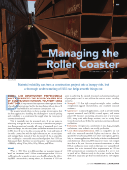 Managing the Roller Coaster