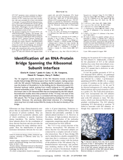 Identification of an RNA-Protein Bridge Spanning