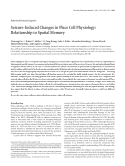 Seizure-Induced Changes in Place Cell Physiology