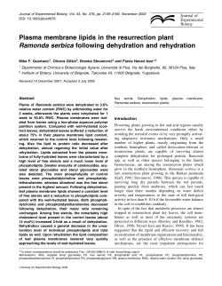 Plasma membrane lipids in the resurrection plant Ramonda