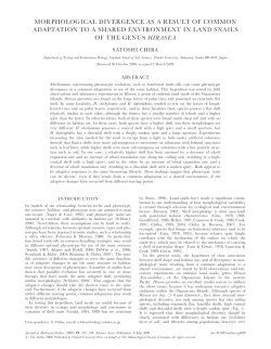 morphological divergence as a result of common