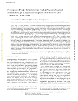 Overexpressed Cav 3 Inhibits N-type (Cav2.2) Calcium Channel