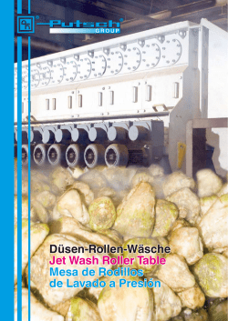 D&uuml;sen-Rollen-W&auml;sche Jet Wash Roller Table Mesa