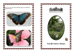 the butterfly house