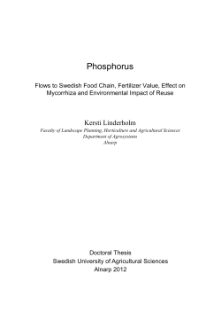 Phosphorus - Epsilon Open Archive