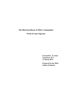 North Lake Superior M&eacute;tis