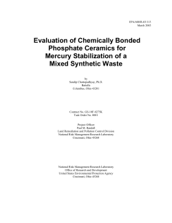 Evaluation of Chemically Bonded Phosphate Ceramics for Mercury
