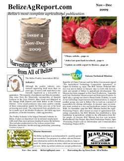 Nov. 2009 - AmbergrisCaye.com