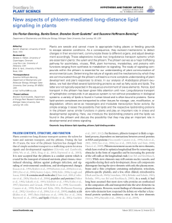 New aspects of phloem-mediated long