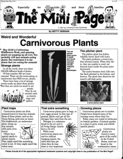 Carnivorous Plants