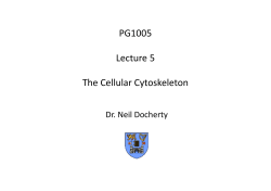 PG1005 Lecture 5 The Cytoskeleton