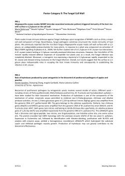 The Fungal Cell Wall - Fungal Genetics Stock Center