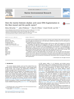 Does the marine biotoxin okadaic acid cause DNA fragmentation in