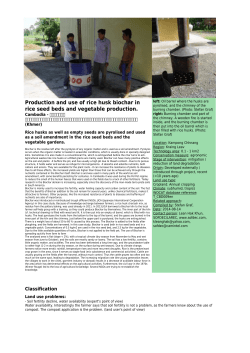 Production and use of rice husk biochar in rice seed beds