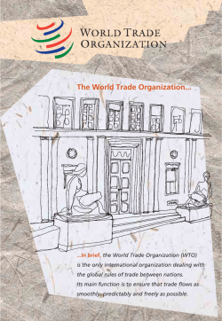 in pdf format - World Trade Organization