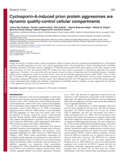Cyclosporin-A-induced prion protein aggresomes are dynamic