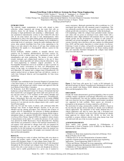Human Fetal Bone Cells in Delivery Systems for Bone Tissue