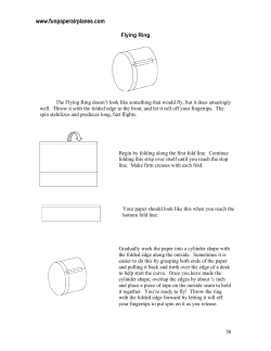Stealth Wing - Fun Paper Airplanes