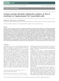 Unique somatodendritic distribution pattern of Kv4.2 channels on