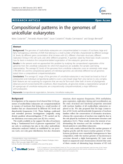 Compositional patterns in the genomes of unicellular eukaryotes