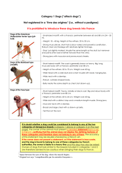 full list of restricted dogs here