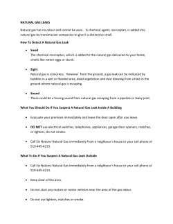 Natural Gas Leaks - Six Nations Natural Gas