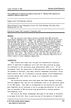 Gene amplification in methotrexate-resistant