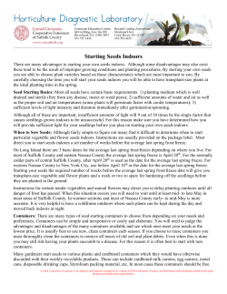 Starting Seeds Indoors