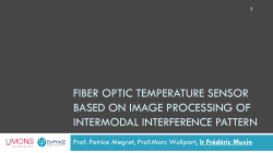 fiber optic temperature sensor based on image processing of