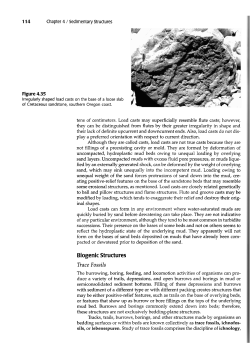 Chapter 4 Sedimentary Structures
