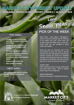 Market City Weekly Update