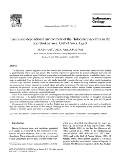 Geology Facies and depositional environment of the Holocene