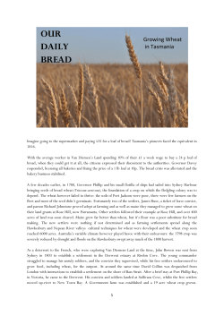Growing Wheat in Tasmania